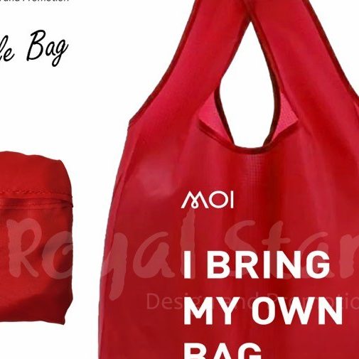 Reusable Foldable Bag