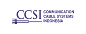 CCSI